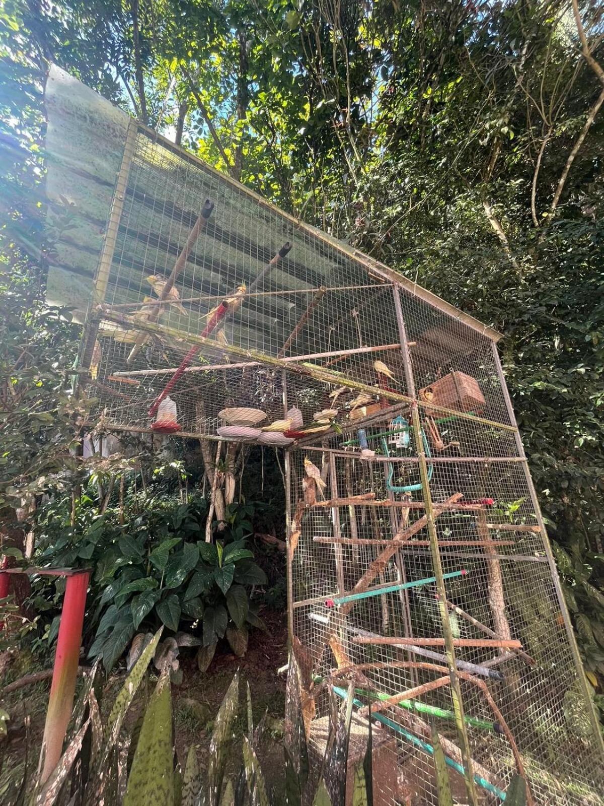 דירות Balneário Camboriú Ape Do Salomao מראה חיצוני תמונה